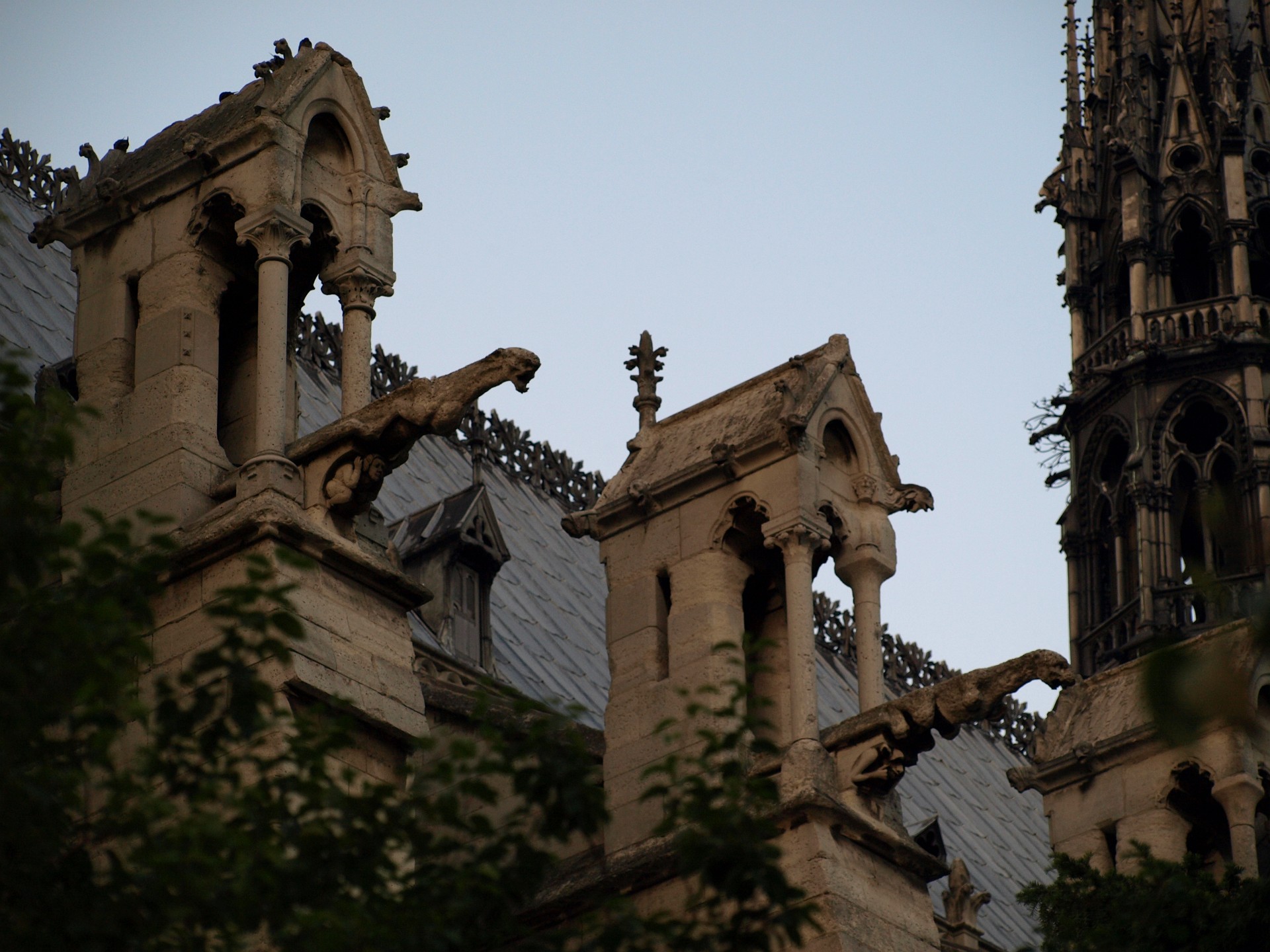 Gargoyles Leaping From Their Houses